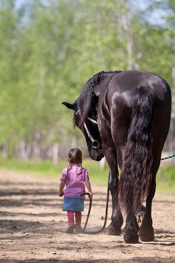 Reach Out to Horses- Children and Horses